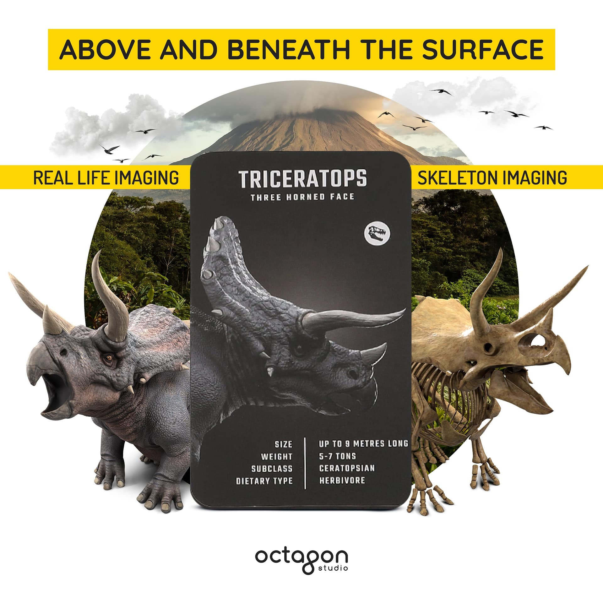 Dinosaur 4D+ Augmented Reality Flashcards - Image 4